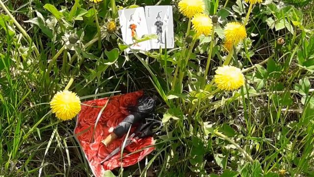 Ритуал - онлайн на деньги на 2-х Джокеров. К югу, востоку и северу. смотреть онлайн