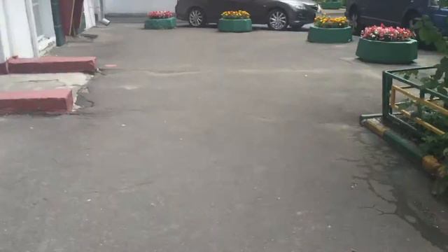 Универсальные ключи для домофонов Marshal Laskomex Vizit Eltis