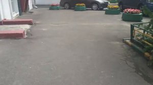 Универсальные ключи для домофонов Marshal Laskomex Vizit Eltis