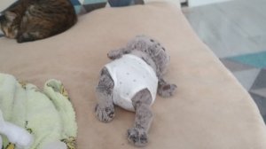 ВЛОГ вместе с Басиками–Басик готовиться к школе?🍁