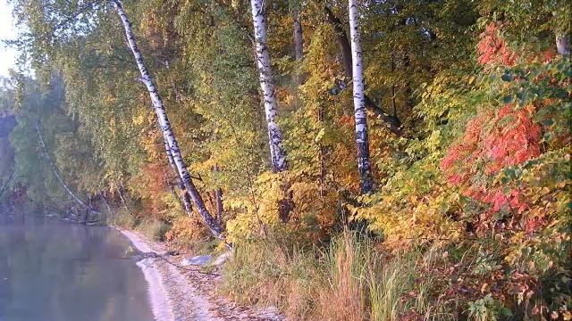 4 времени года (фото Г. Бушкова) смотреть онлайн