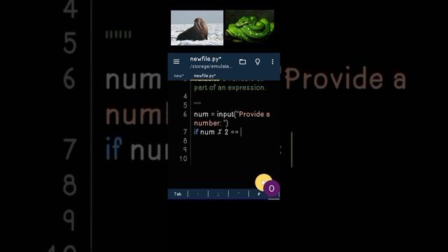 Walrus Operator in Python смотреть онлайн