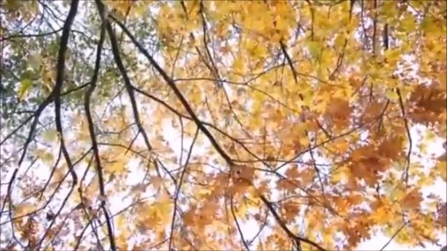 Где то рядом смотреть онлайн