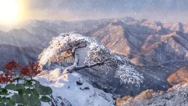 Всего 3 дня - сжигаем чеки в марте. смотреть онлайн