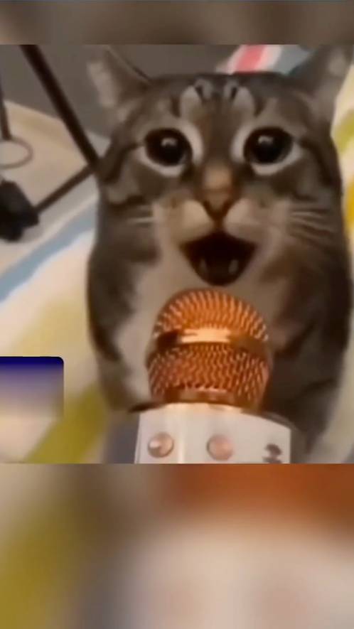 Смех до слез №45 - Лучшие Приколы 2024 #Шортс #Ютубшортс #Смех #Приколы #Мемы #Shorts смотреть онлайн