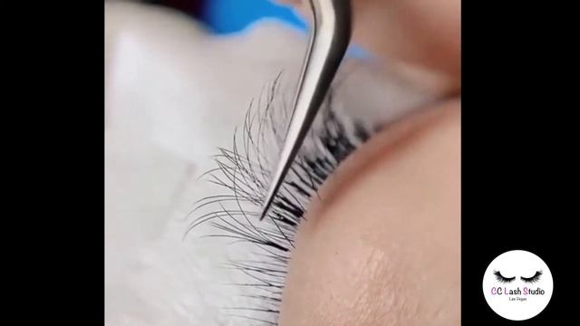 CC Lash смотреть онлайн