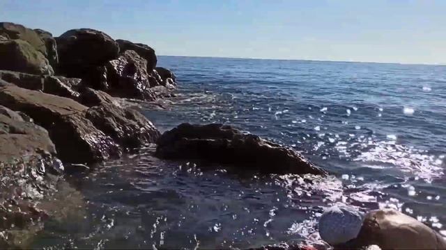 ПРОБУЕМ ДЕЛИКАТЕС. Технология сбора морских блюдец . смотреть онлайн