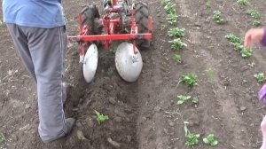 Про диски для окучивания и как их настроить...