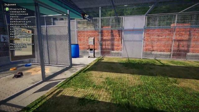Подрабатываю в приюте для животных! - Animal Shelter (первый взгляд) смотреть онлайн