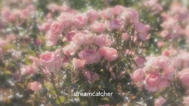 BLACKPINK - Typa Girl [8D BASS BOOSTED•USE HEADPHONES] смотреть онлайн