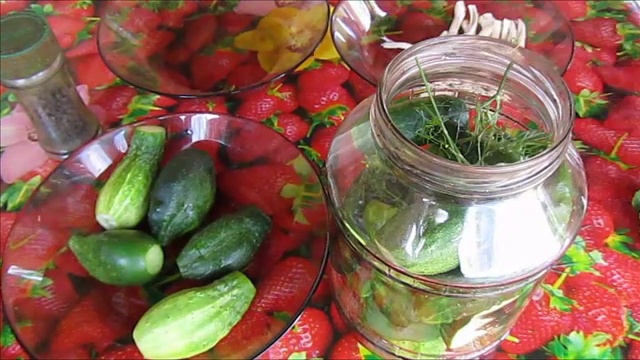 Малосольные огурцы быстрого приготовления