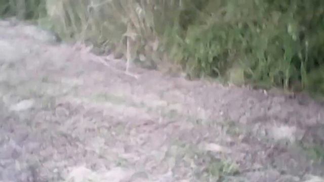 Test Syma X5SW by SF Drone Experience смотреть онлайн