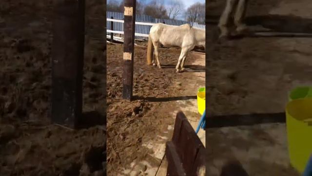 История о том, как мы кормимся каждый день 😃✌️