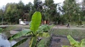 АБХАЗИЯ 2020 ч.15 Термальные источники Кындыг