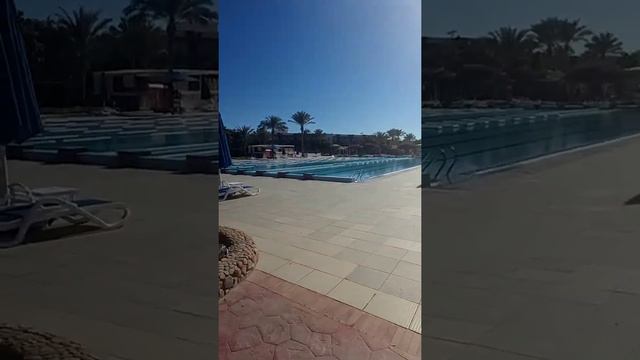 31st January. Arrived at Desert Rose Resort. смотреть онлайн