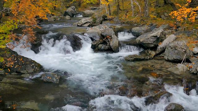 Beautiful 432Hz Stereo Ambient Guitar - A New Way to Relax 4.44 #ambient #chill #relaxing смотреть онлайн