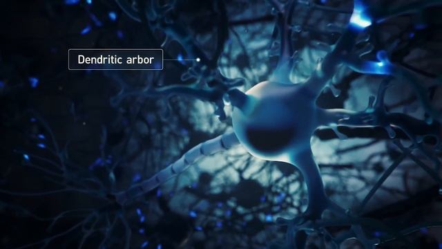 Neuralink - The First Step to Full Dive? [Elon Musk VR?] смотреть онлайн