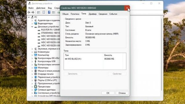 Как узнать стиль раздела диска GPT или MBR Windows 11