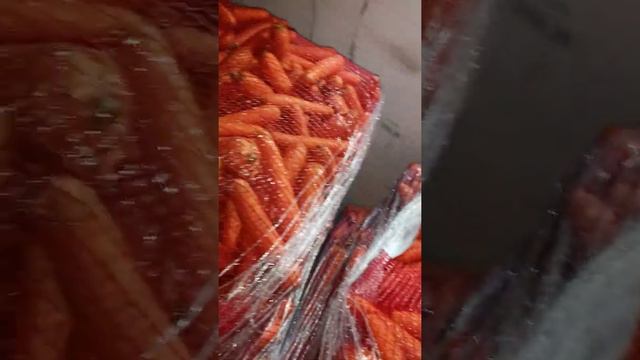 морковь мытая, сетка зашивка смотреть онлайн