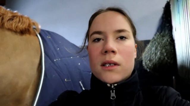 Влог №1. Как я попала в конный спорт? смотреть онлайн