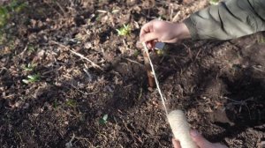 НАЧАЛ КОПАТЬ | НОВЫЙ ПРОЕКТ "ТАЙНАЯ ЗЕМЛЯНКА"