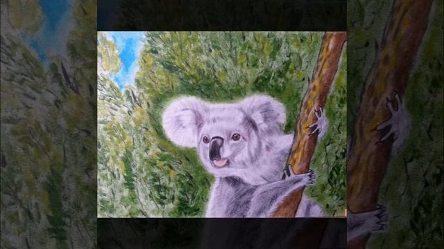 How to draw a koala quickly and easily/Как быстро и легко нарисовать коалу смотреть онлайн