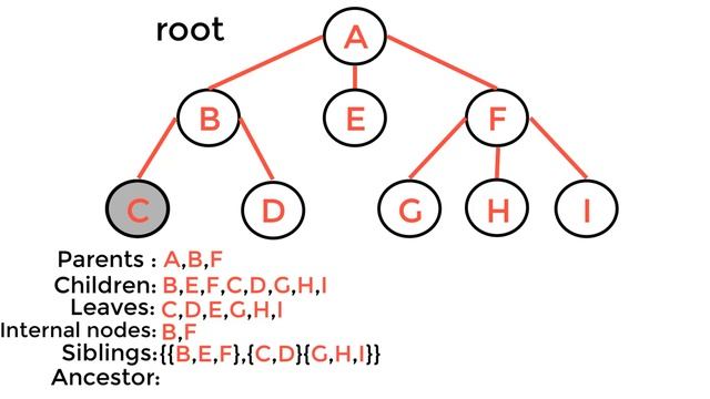 #018 [Data Structures] - Introduction To Trees смотреть онлайн
