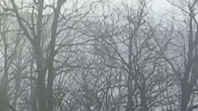 Охота в горах смотреть онлайн