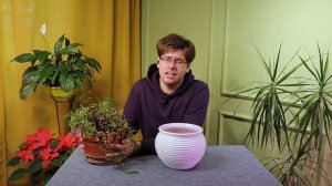 Спасаем Венерин волос. Пересадка и уход за адиантумом