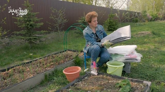 Посадка клубники с мульчей из черного материала (агротекса) . смотреть онлайн