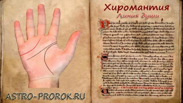 Хиромантия линия души - сердца (часть 3) смотреть онлайн