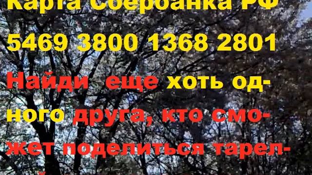 Мой голос одинок в пустыне людей. смотреть онлайн