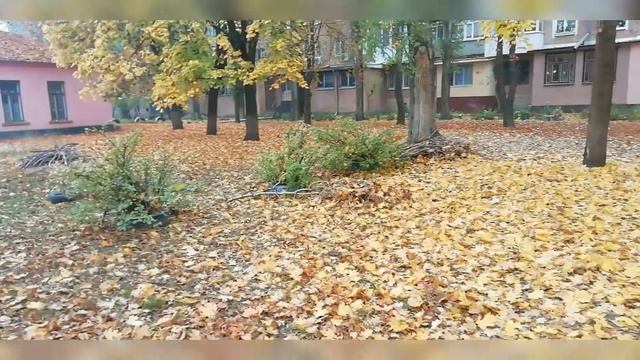 Порезала палец... 23.10. 2019 на роботе -24.10.2019 смотреть онлайн