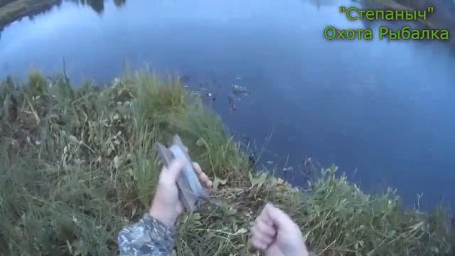 Как достать утку из озера Водоёма