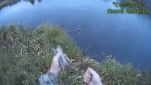 Как достать утку из озера (Водоёма)