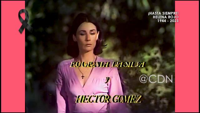 Entrada: La venganza (1977) Helena Rojo смотреть онлайн