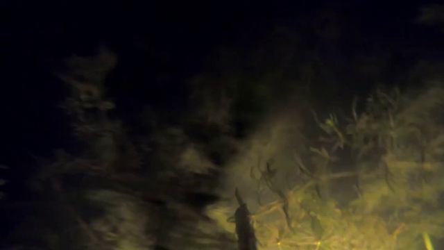 подводная охота на трофейного амура. маныч. пеленгас варвар 70 смотреть онлайн