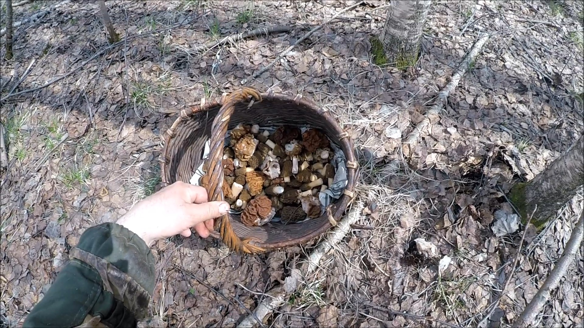 Весной за грибами. За строчками и сморчковыми шапочками 2022 (Будни охотника и рыбака) смотреть онлайн