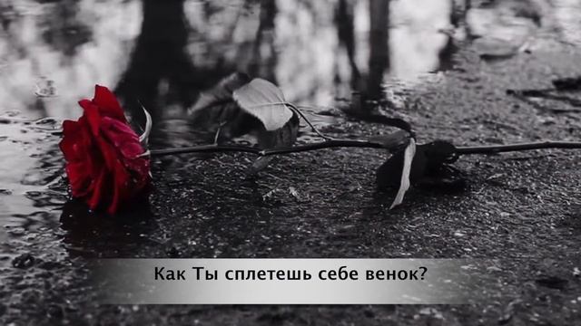 Сам себе Эдельвейс - Был у Христа младенца сад (Легенда)МИНУС (Детские песни караоке) смотреть онлайн