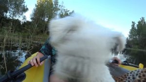 ЗАСТРЯЛИ В ЗАКОЛДОВАННОМ ОЗЕРЕ В ПОИСКАХ ЗОИ! БИЛЛИ БОЙ ПЛАЧЕТ