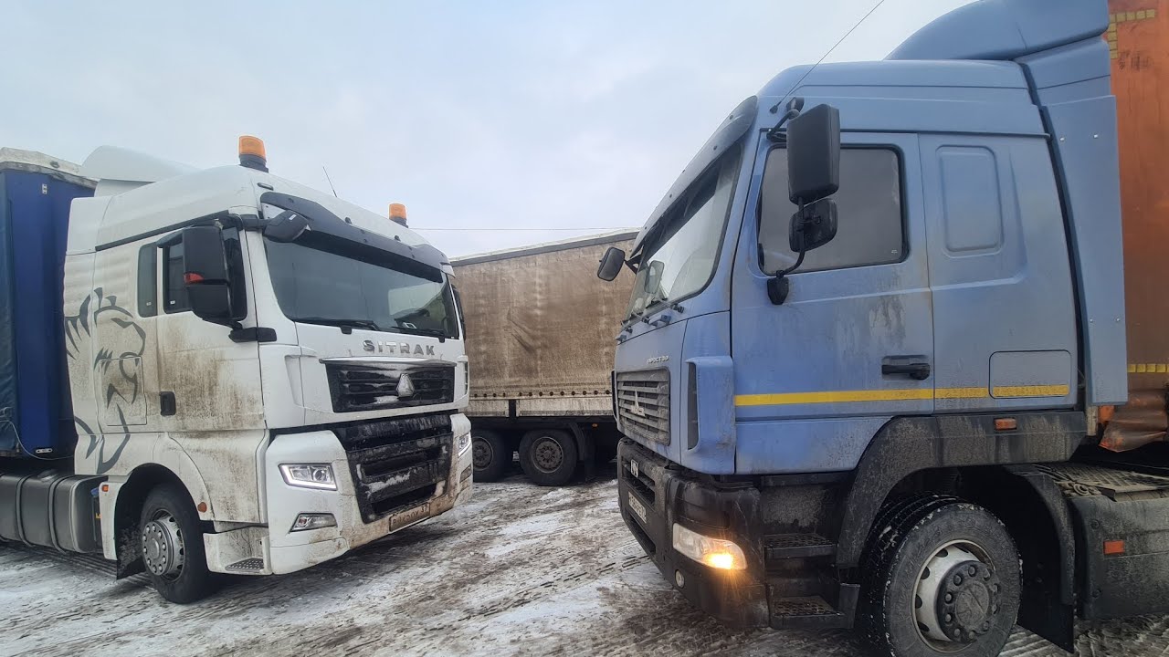 Мазуреныч ещё не тот! Не тапите за него зайцы!) смотреть онлайн