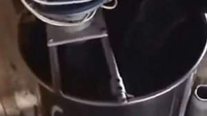 Как вырастить телёнка