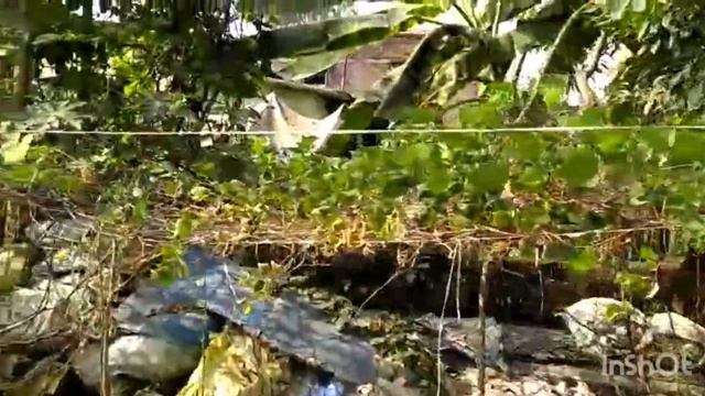 Canning Vlog Canning Milon Melay ghurte gelo nonodini. Part - 1 смотреть онлайн