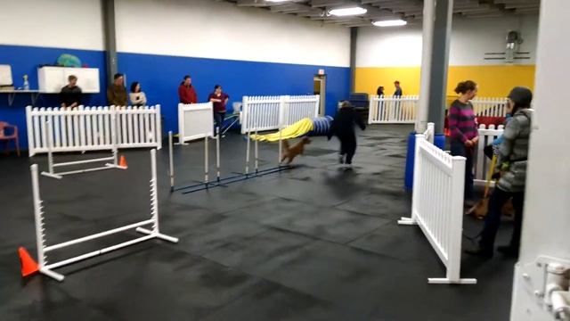 Java does agility смотреть онлайн