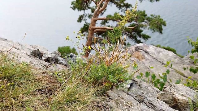 Тургояк. смотреть онлайн