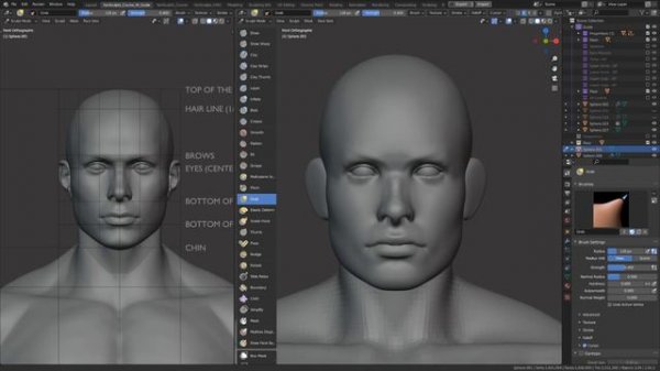 Part 07 - Sculpting The Head