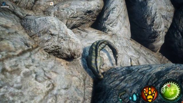 BEASTS OF BERMUDA - ТОТ самый ИХТИ!?? смотреть онлайн