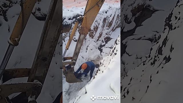 Спасли экскаватором собаку в яме несколько дней. смотреть онлайн
