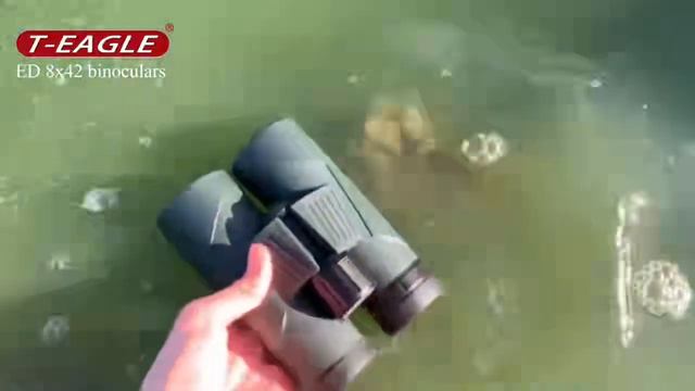 T-EAGLE ED 8X42 telescope смотреть онлайн