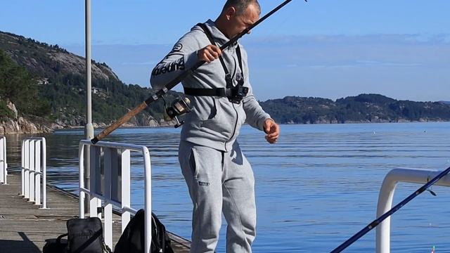 РЫБА-ТОРПЕДА! Ловля СКУМБРИИ И ХЕКА с берега в Норвегии.Морская рыбалка. смотреть онлайн
